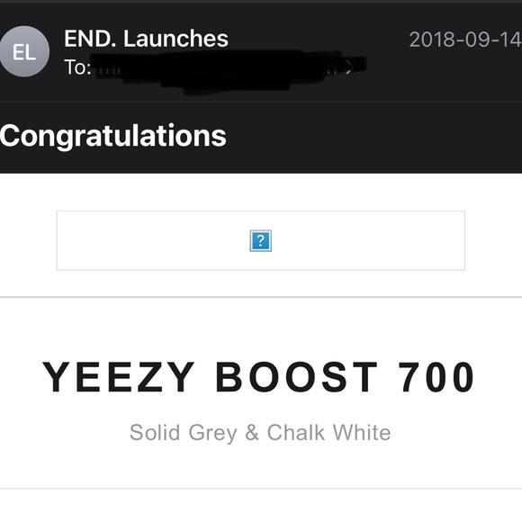 Like New YEEZY Wave Runners - Picture 8 of 9